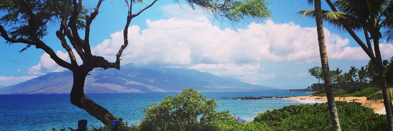 ldoyle227's profile banner image