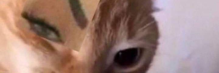 drew_j00's profile banner image