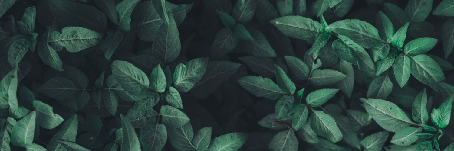 _markmunoz's profile banner image