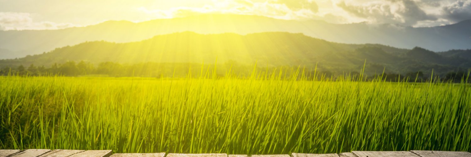 Dorkrag154's profile banner image