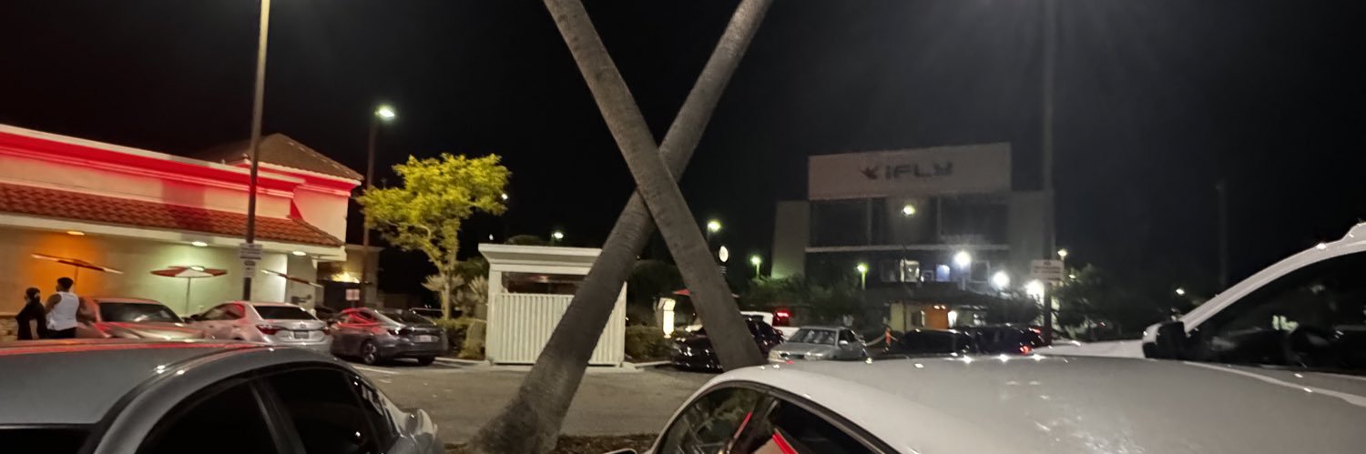 Blrrrd banner