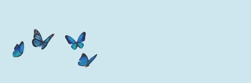 feminologism's profile banner image