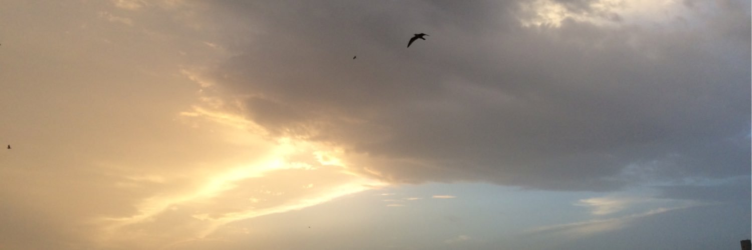 Fiyaz2014's profile banner image