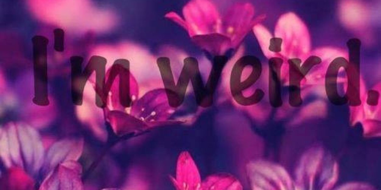 maddykief's profile banner image