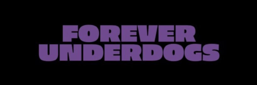 BIRDS DEATH BRIGADE banner