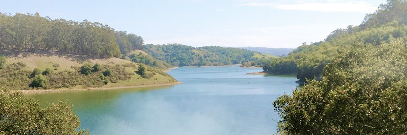 Jonathan Dawe banner