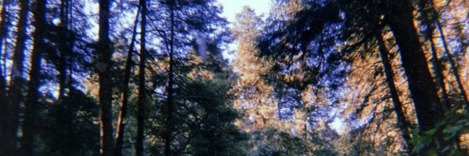 llor0sa's profile banner image
