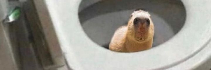 SlamDunkCosmos banner