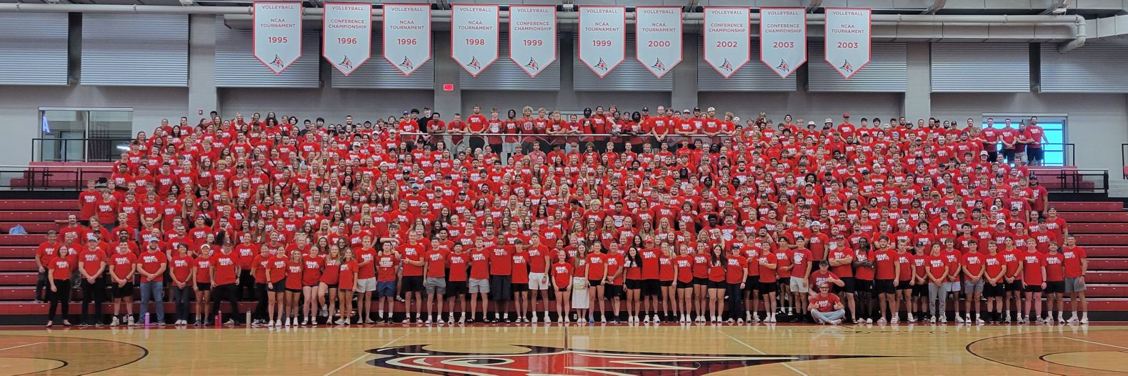 Crystal Lanning banner