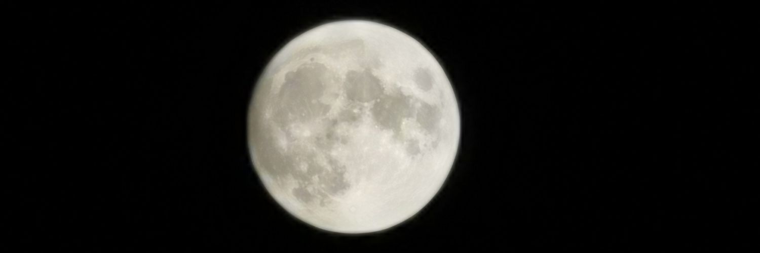 bigflakko's profile banner image