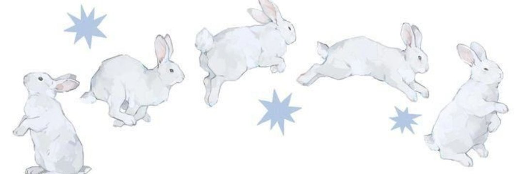 fweh 🐇 banner