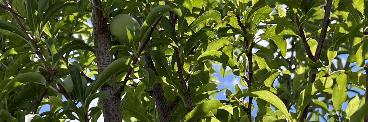 SpudbobX's profile banner image
