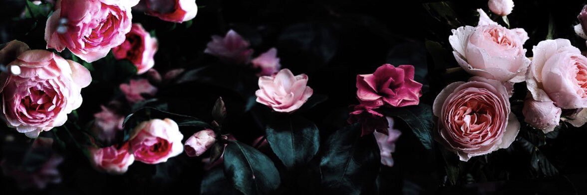 ausbarbie's profile banner image
