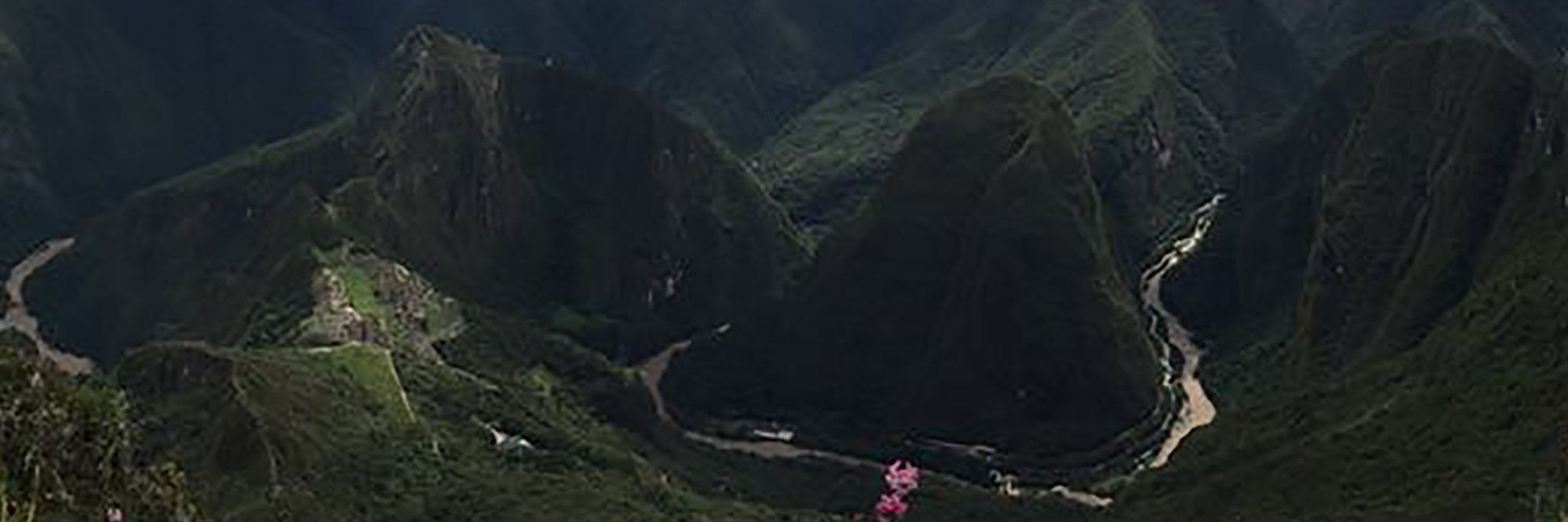 RealCodyGoul's profile banner image