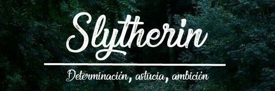 BookNerd_4ever's profile banner image