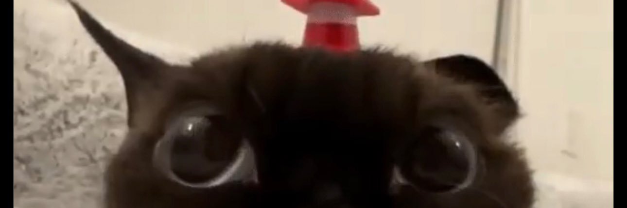 memelord 🫰 banner