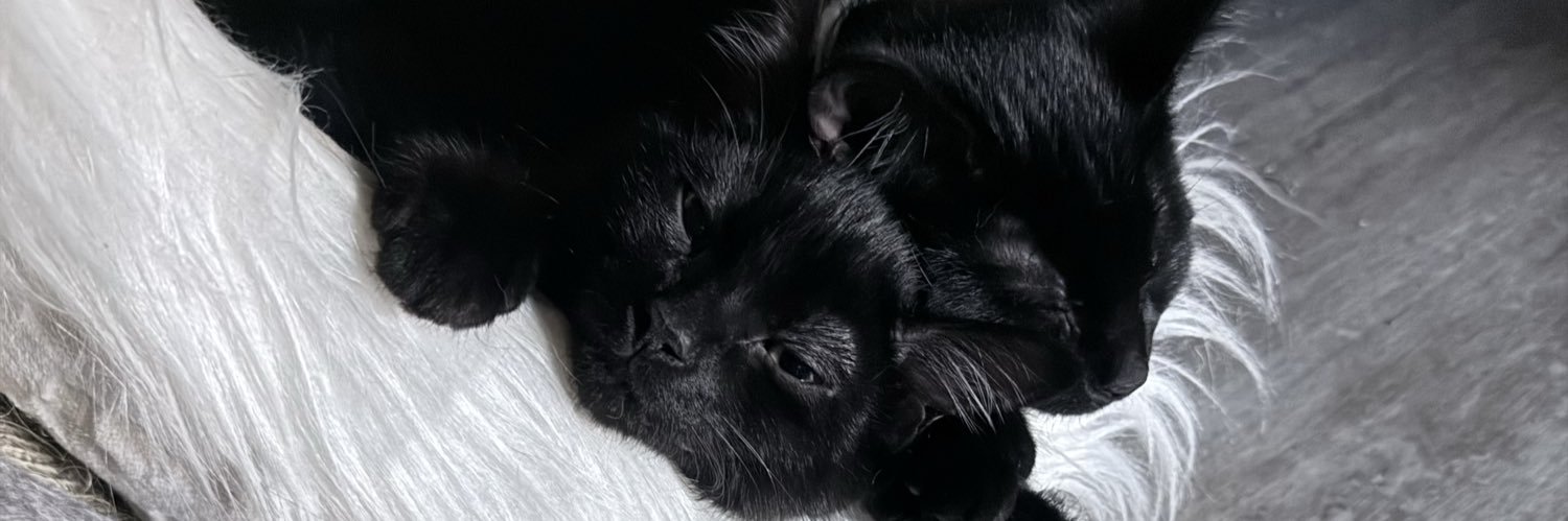 ColinKuglin's profile banner image