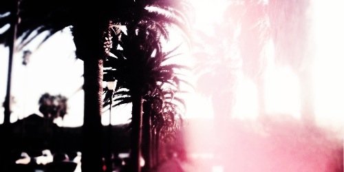 wilkfadedd's profile banner image