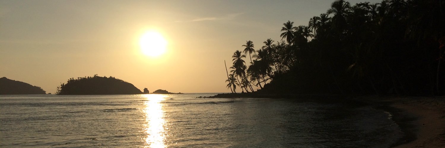 AnneKarolyneB's profile banner image