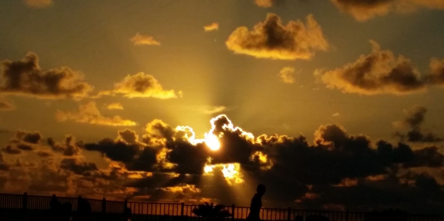 DesireeHackett's profile banner image
