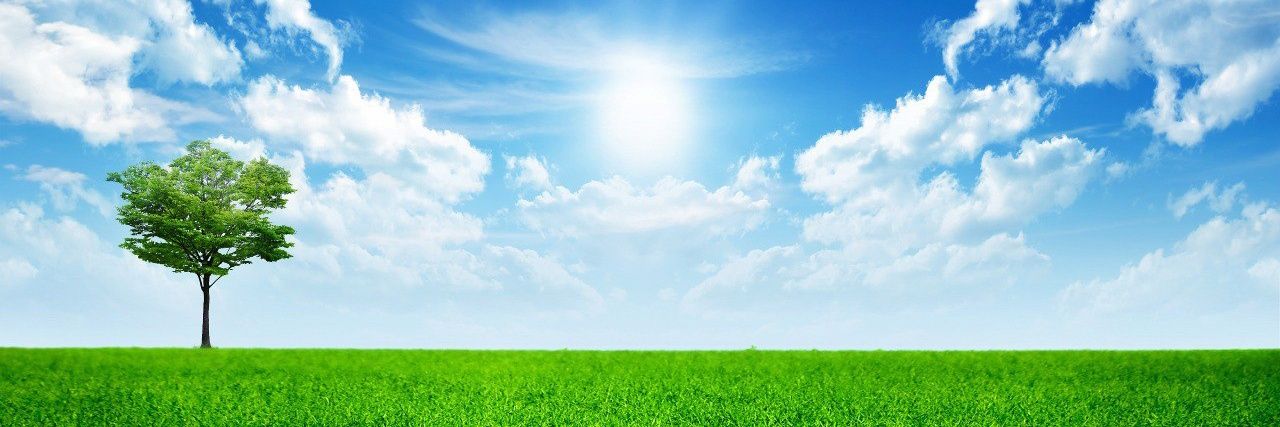 Maks💧(💙,🧡)(🌸, 🌿).lens banner