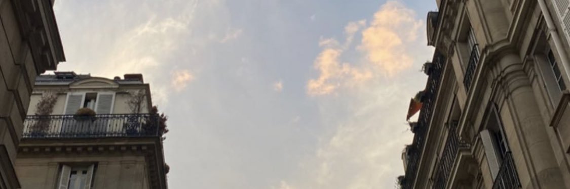 schapti_'s profile banner image