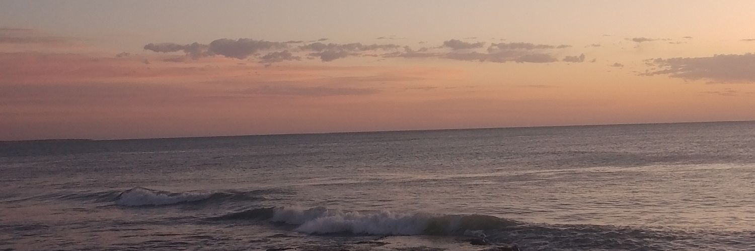 luz_tkd's profile banner image