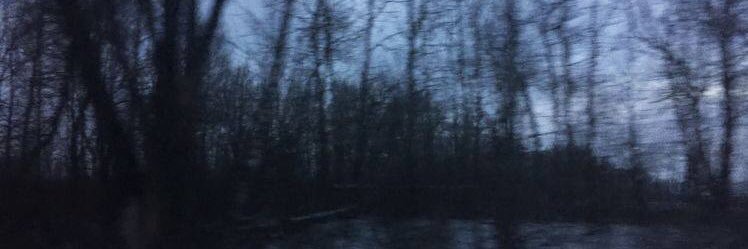sneeas's profile banner image