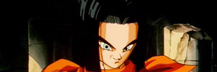 C-17🇸🇳⭐️🇫🇷 banner