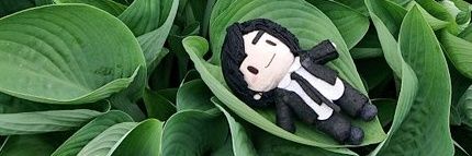 Petit__cosmo's profile banner image