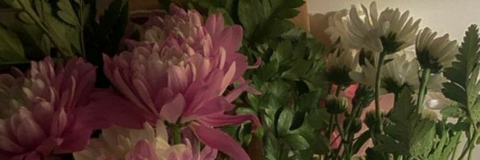 ⋆ ࣪. aishAa²⁶ ⋆ ˚｡⋆୨୧˚ banner