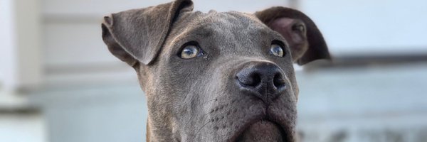 A_Quiles_5 Profile Banner