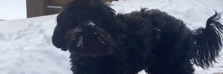 eliandozzy's profile banner image