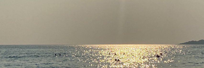 ozxqw banner