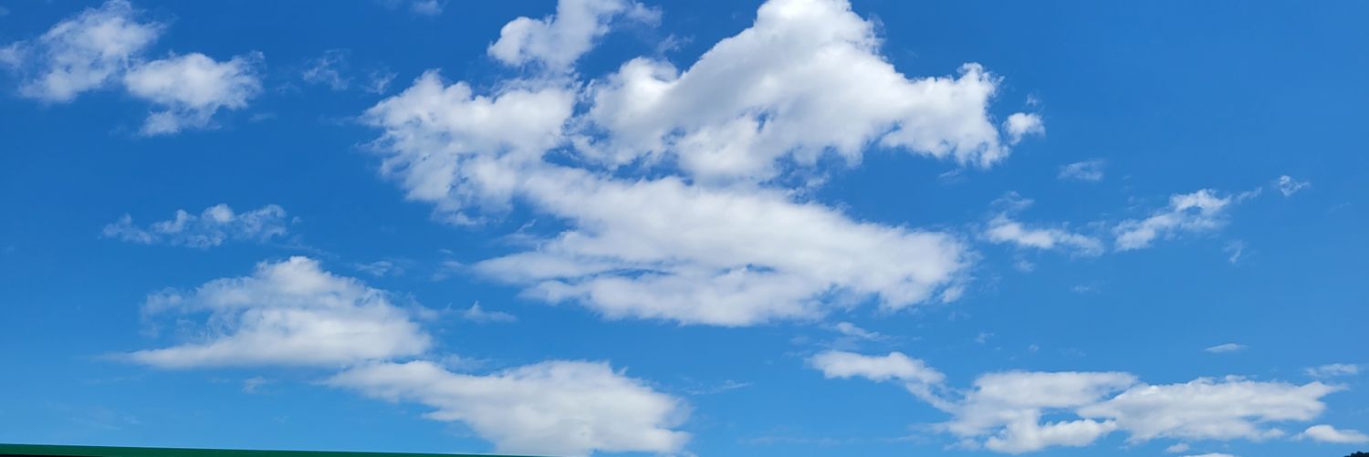 vito banner