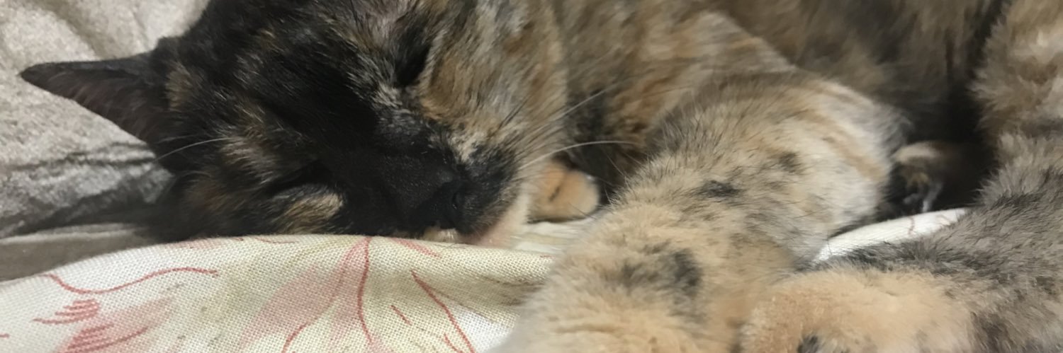 ga_mo_ha's profile banner image