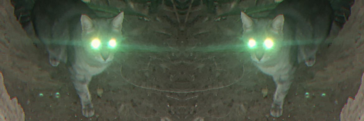 למה בעצם banner