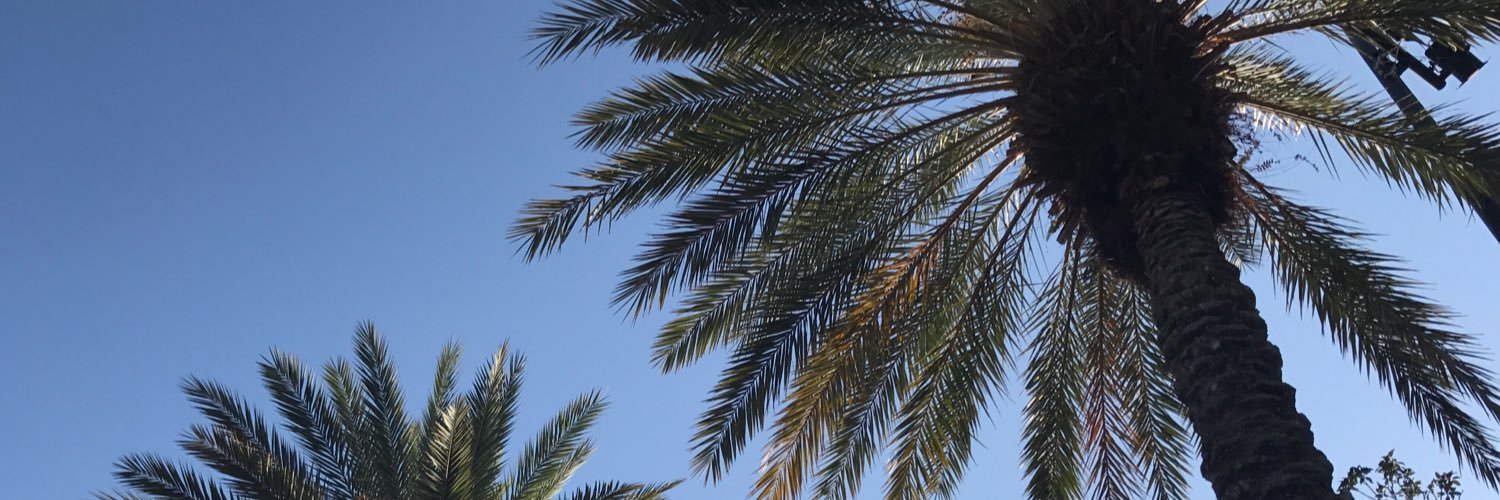 callia20's profile banner image