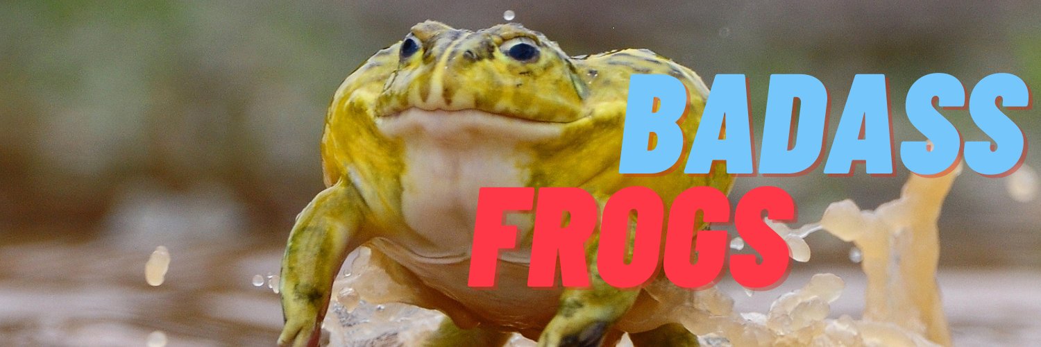 BadassFrogs's profile banner image