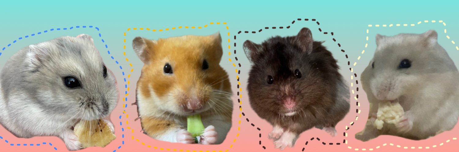 hacchi_ham's profile banner image