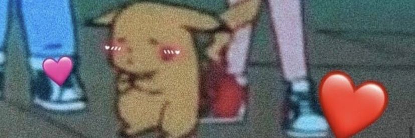 CovidConner banner