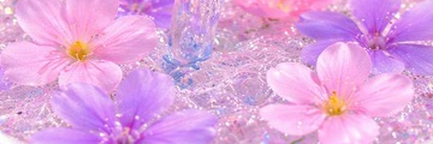 sheeragurlz's profile banner image