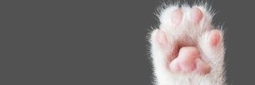 Zack banner