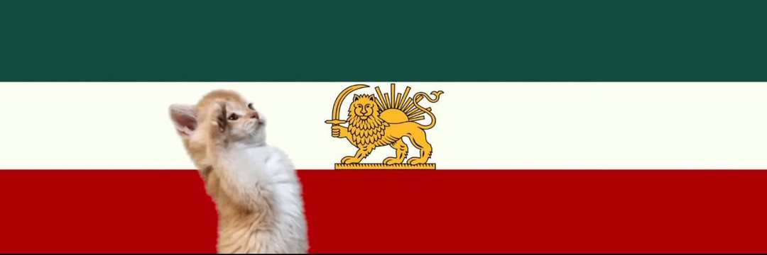 Paradise⁷💜🇮🇷 banner