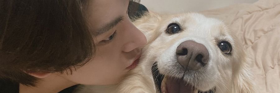 Per ྀི banner