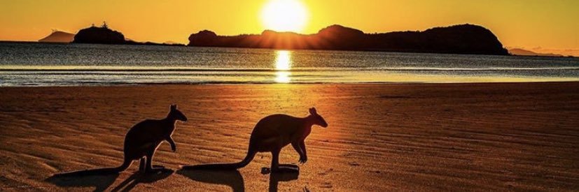 tlaurac34's profile banner image