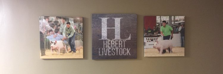 loganhebert55's profile banner image