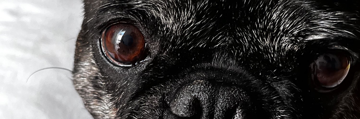 Renny8a's profile banner image