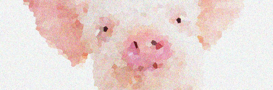 📸🐷.jpig banner