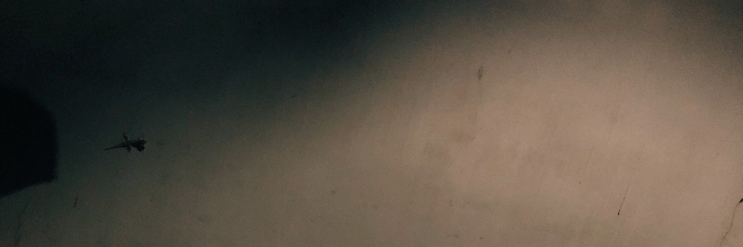 miccolb's profile banner image